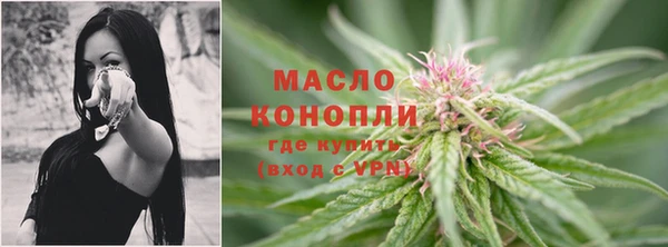 сатива Алексеевка