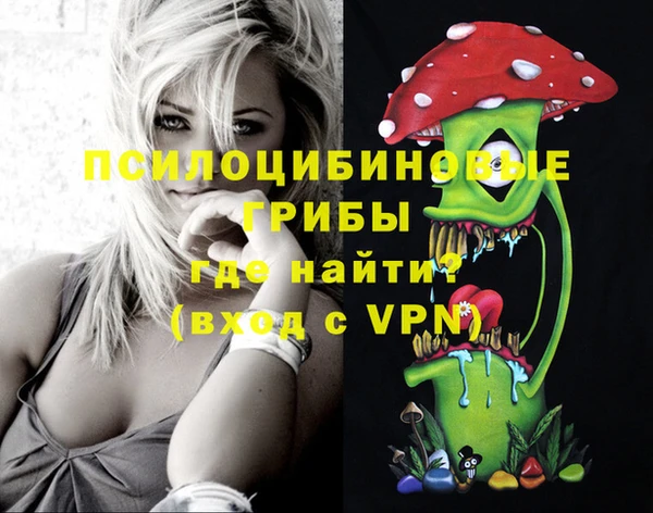 сатива Алексеевка