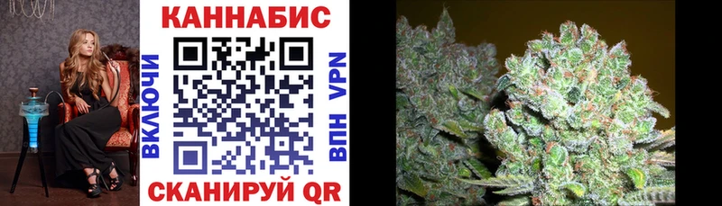 ОМГ ОМГ ссылки  где купить наркоту  Новоузенск  Бошки Шишки план 